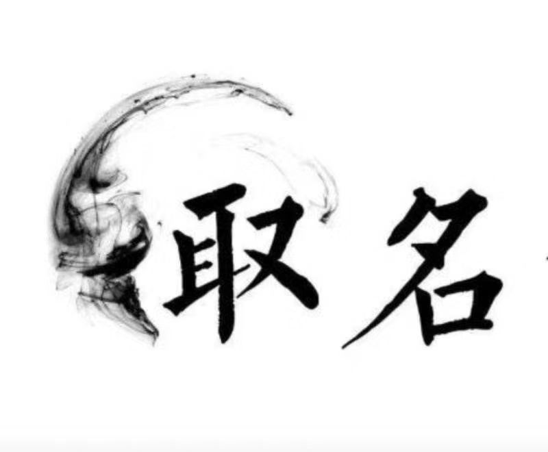  合阳宝宝取名 大师一对一人工起名